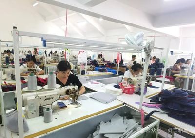 贞丰在线技术培训 开启数字化时代新篇章